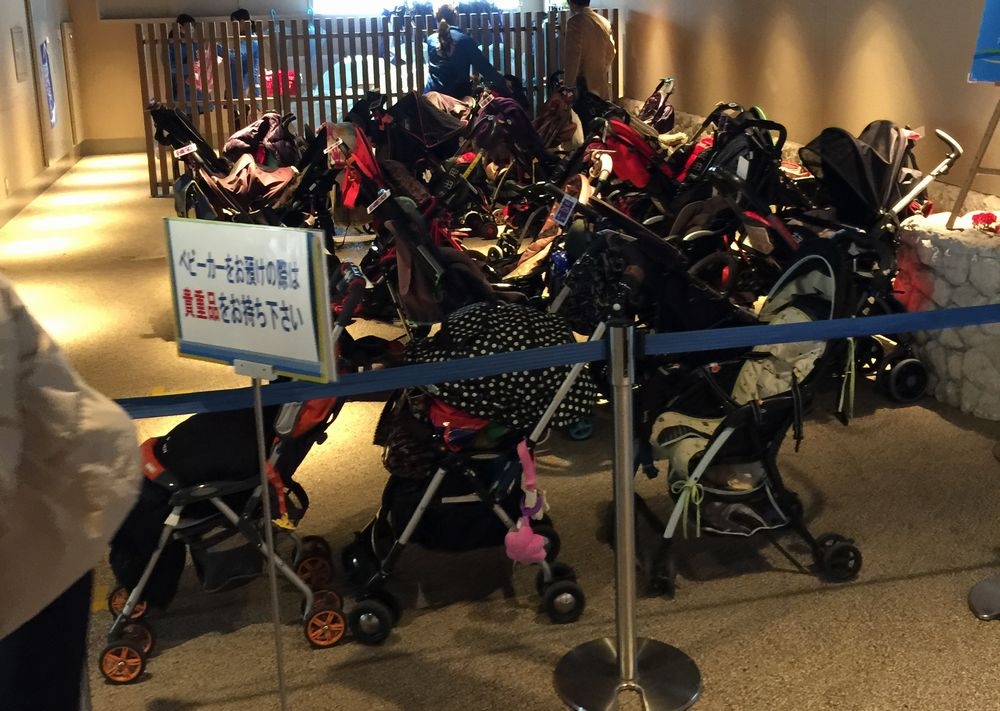 �T���V���C�������ق̃x�r�[�J�[�Ή��T�[�r�X