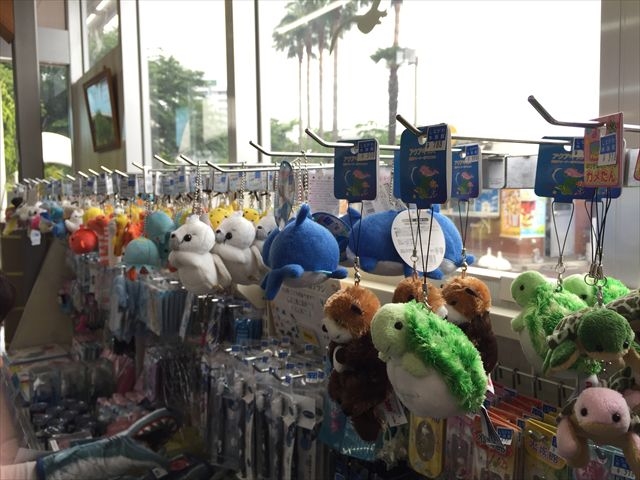 品川水族館は都内で人気のデートスポット