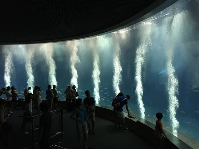 �����ՊC�������������߃|�C���g